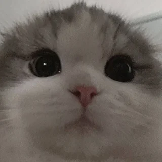 😞