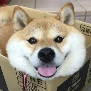 🐕