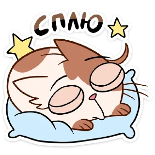 😴