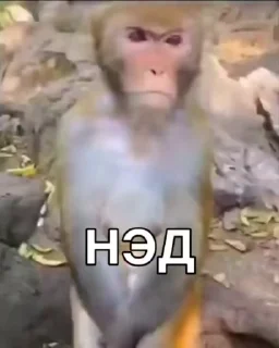 😤