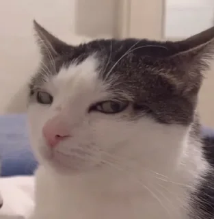 😑