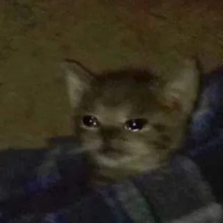 🥺