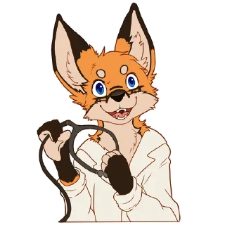 🦊