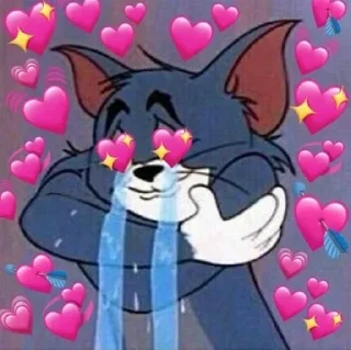 😻
