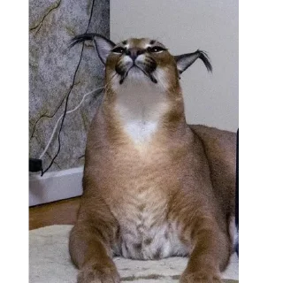 😄