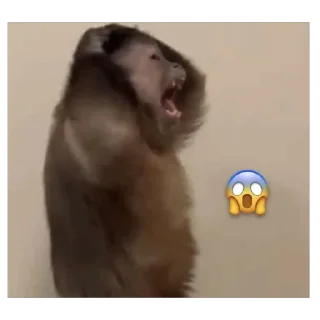 🫥