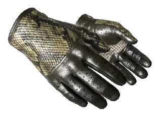 🏴󠁧󠁢󠁳󠁣󠁴󠁿