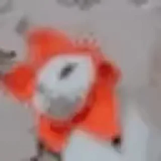 🌺