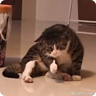 👍