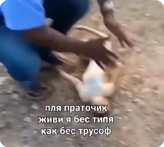 🙏