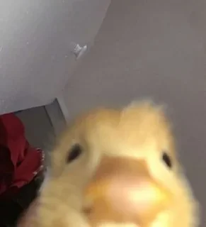 😳