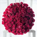 🌹