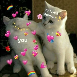 ❤️