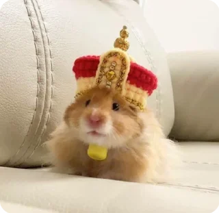 👑