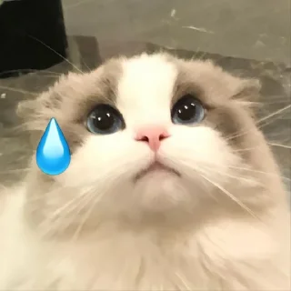 😥
