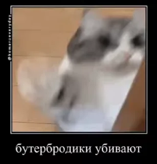 🤬