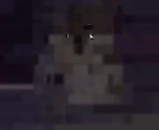 💻