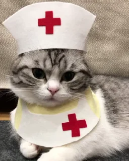 👨‍⚕