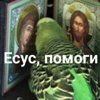 🙏