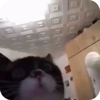📥
