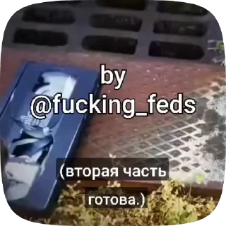 🤩