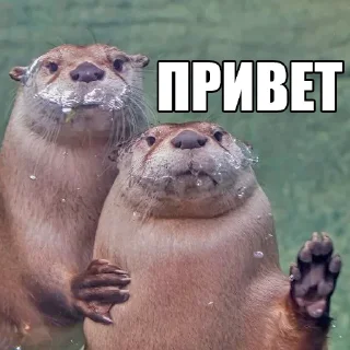 👋