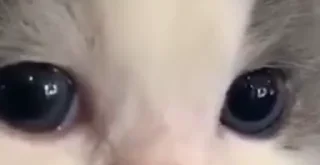 🙄