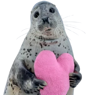 💖