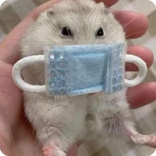 😷