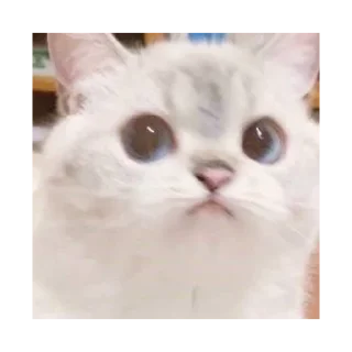 🥺