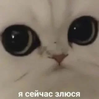 🌝