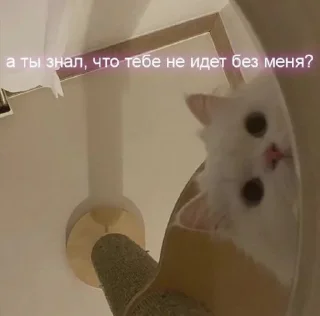 👀