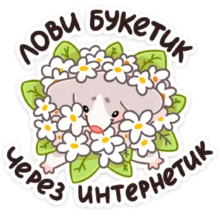 🌸