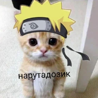 😹