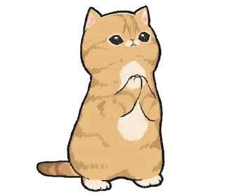 🐱