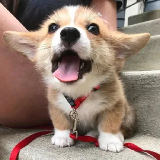 ❤️