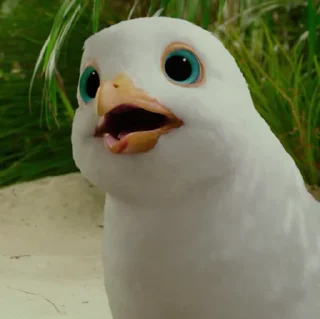 🦜