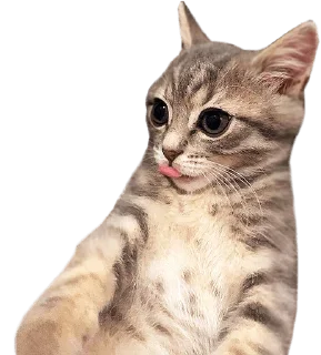 😛