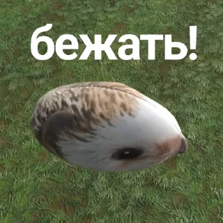 📦