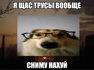 🧂