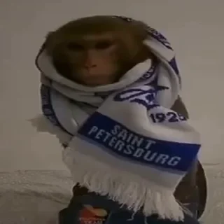 🤨
