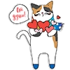 RainbowSmileCats