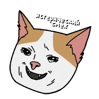 😹