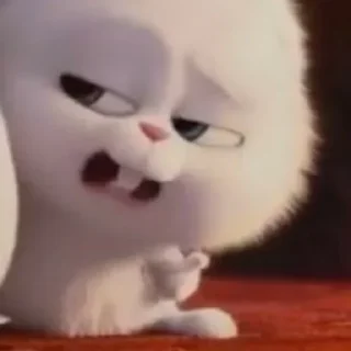 👉