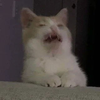 😩