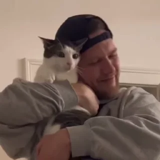 😸
