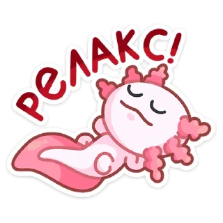 😴