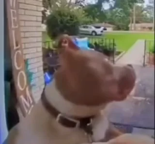 🤨