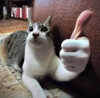 👍