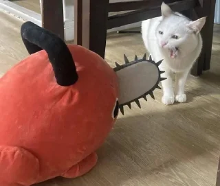 🙀
